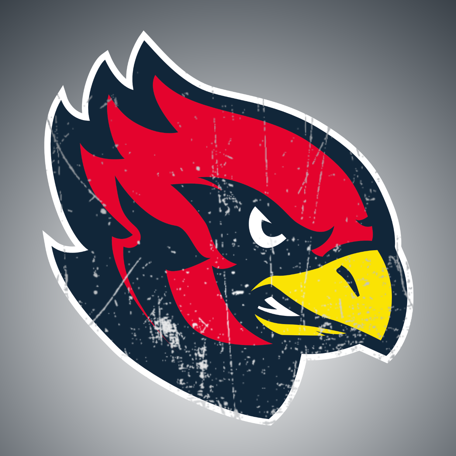 AFC Assindia Cardinals 1983 e.V.