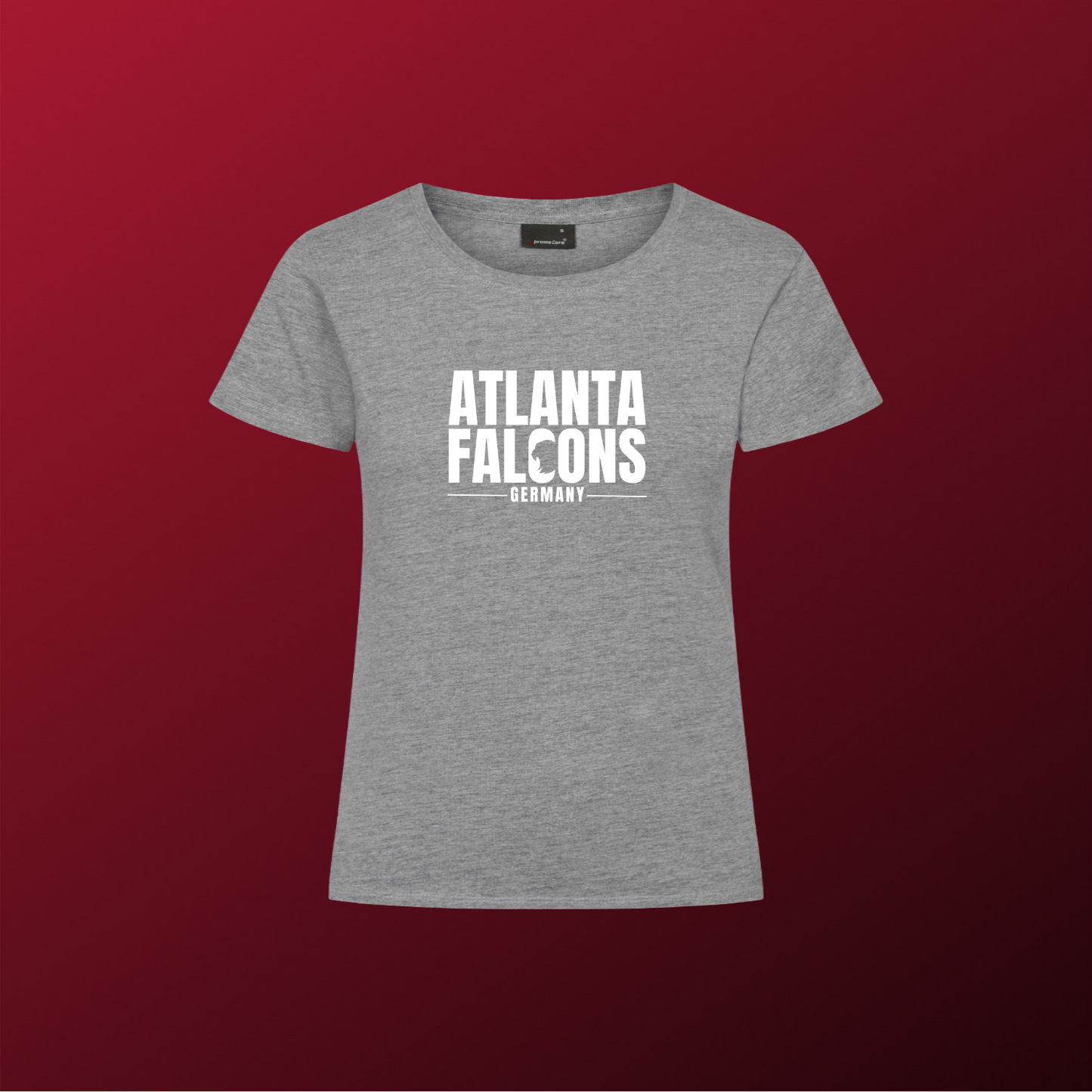 Falcons Germany "Ice Wordmark"