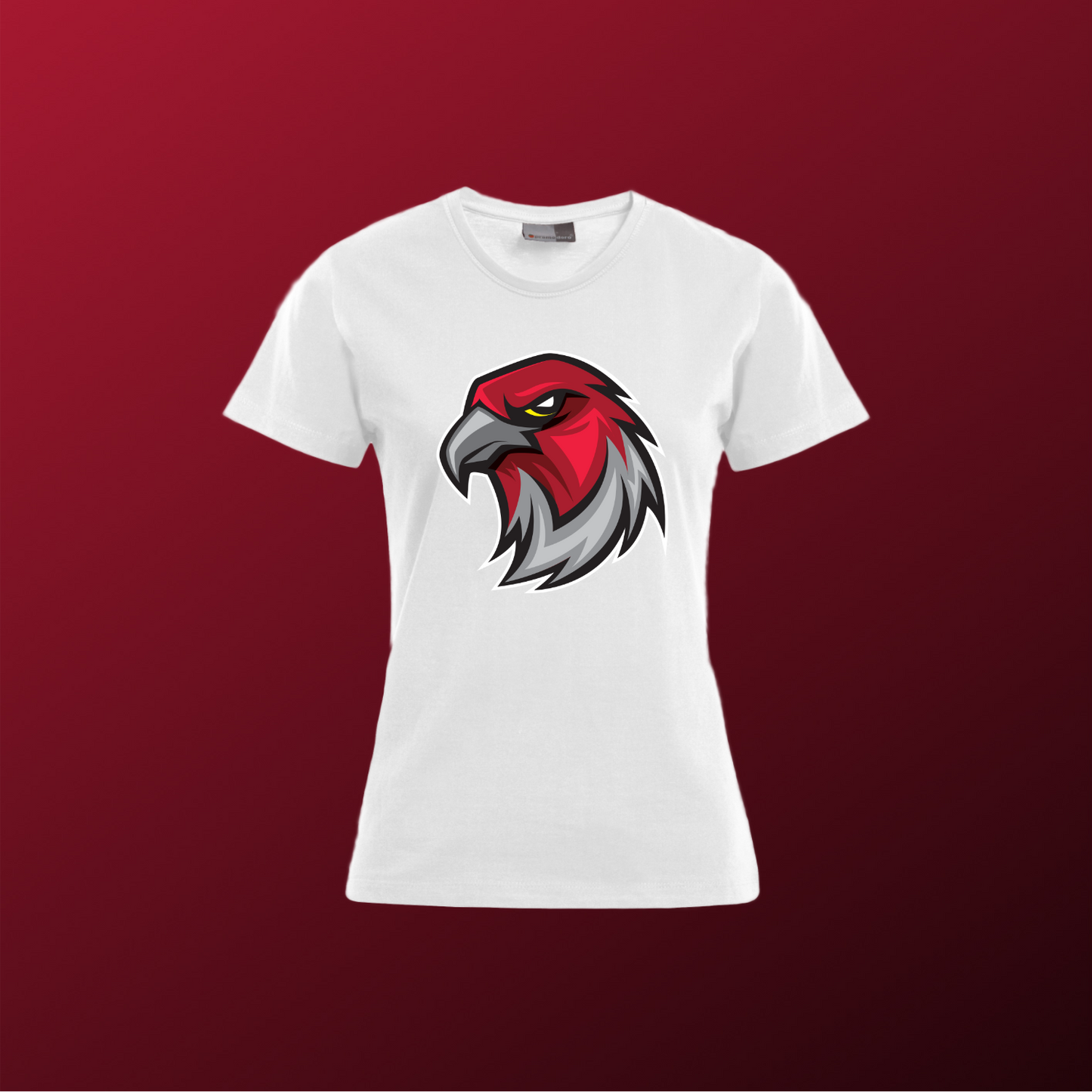Falcons Germany "Profilbild"
