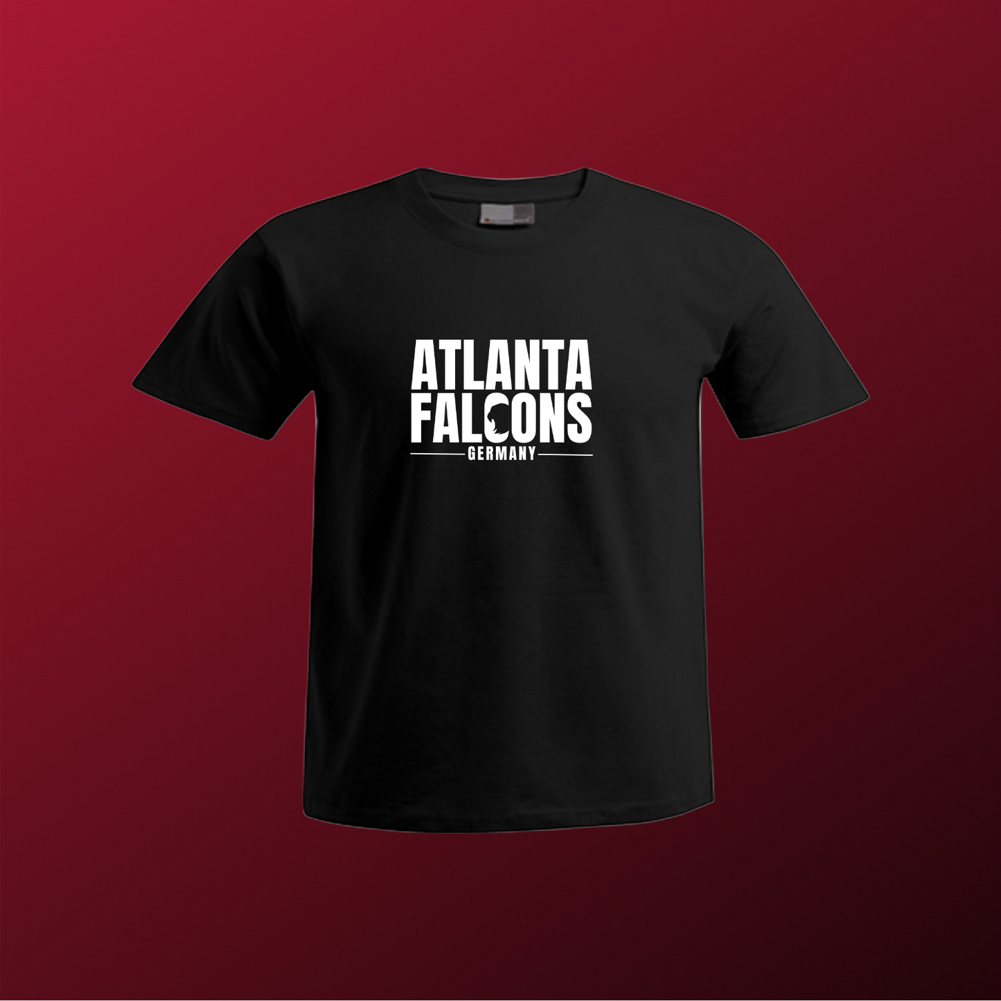 Falcons Germany "Ice Wordmark"