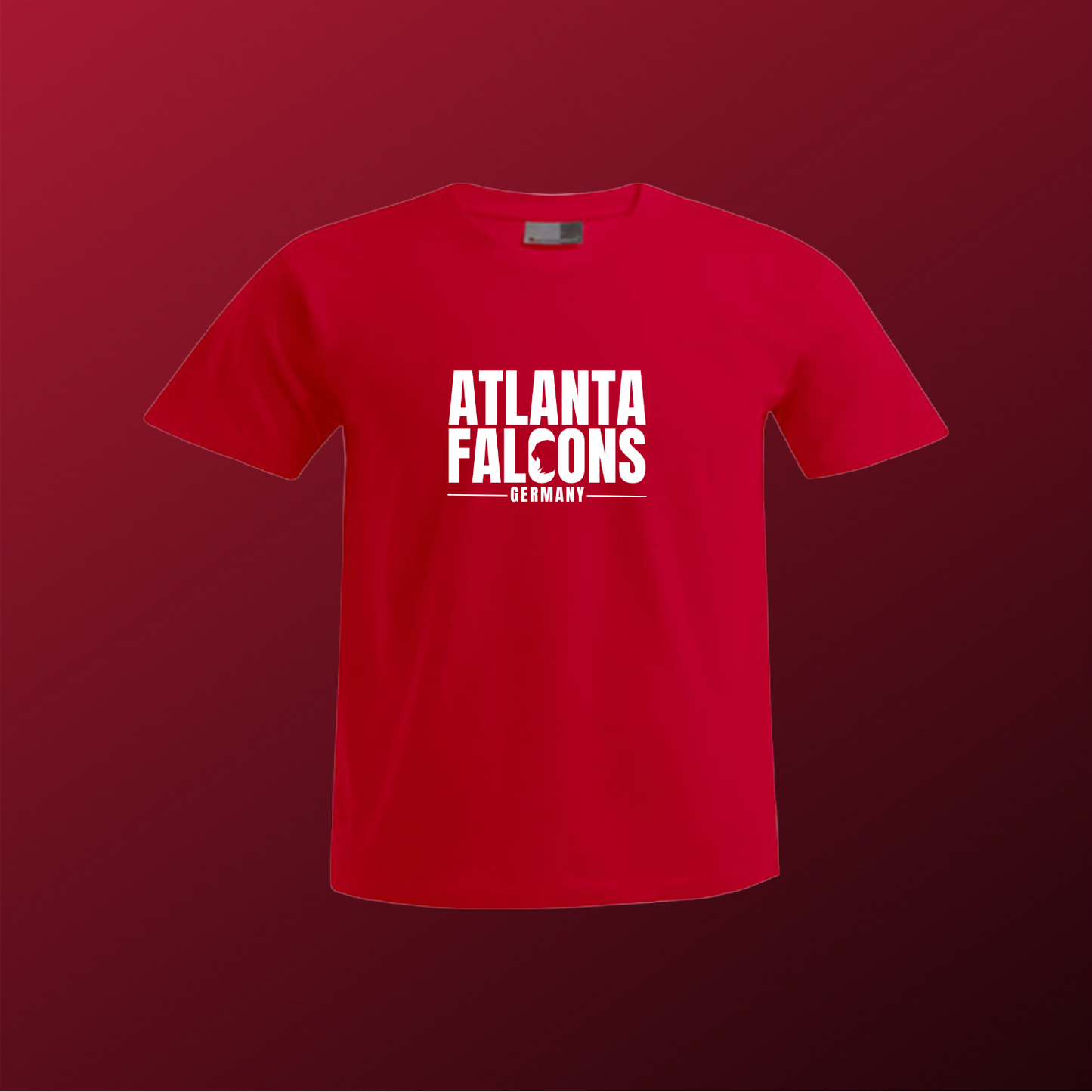 Falcons Germany "Ice Wordmark"