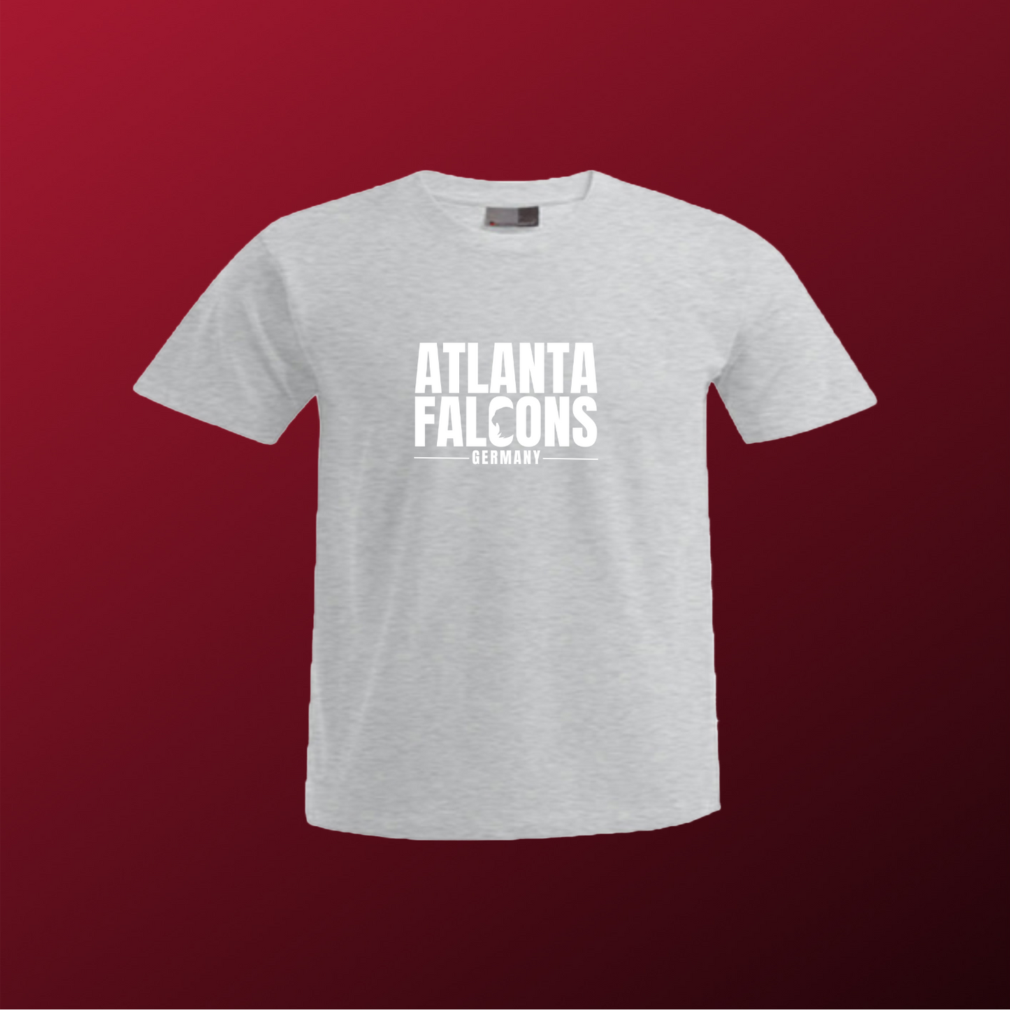 Falcons Germany "Ice Wordmark"