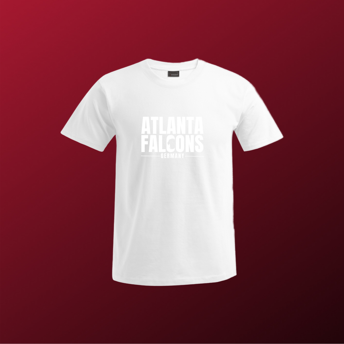 Falcons Germany "Ice Wordmark"