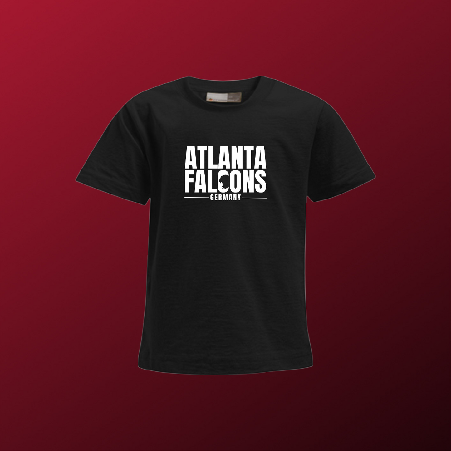 Falcons Germany "Ice Wordmark"