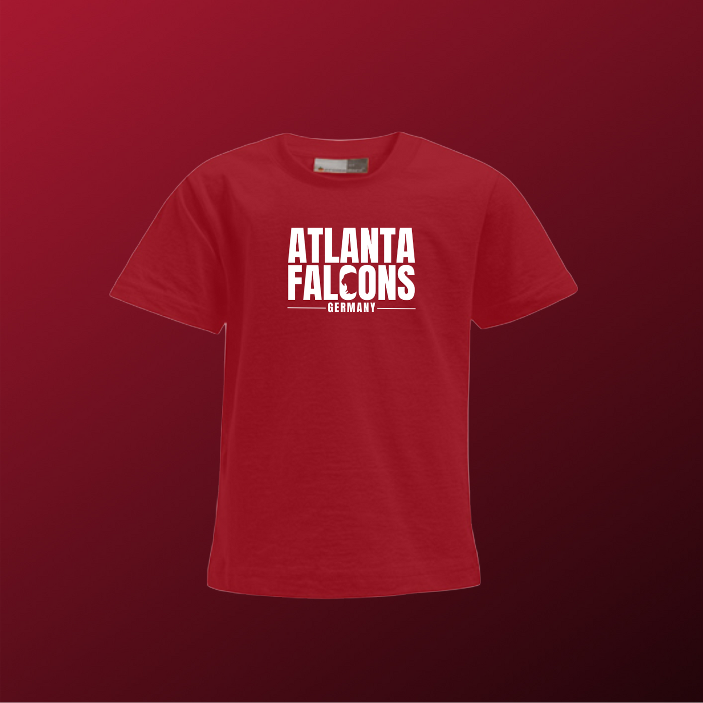 Falcons Germany "Ice Wordmark"