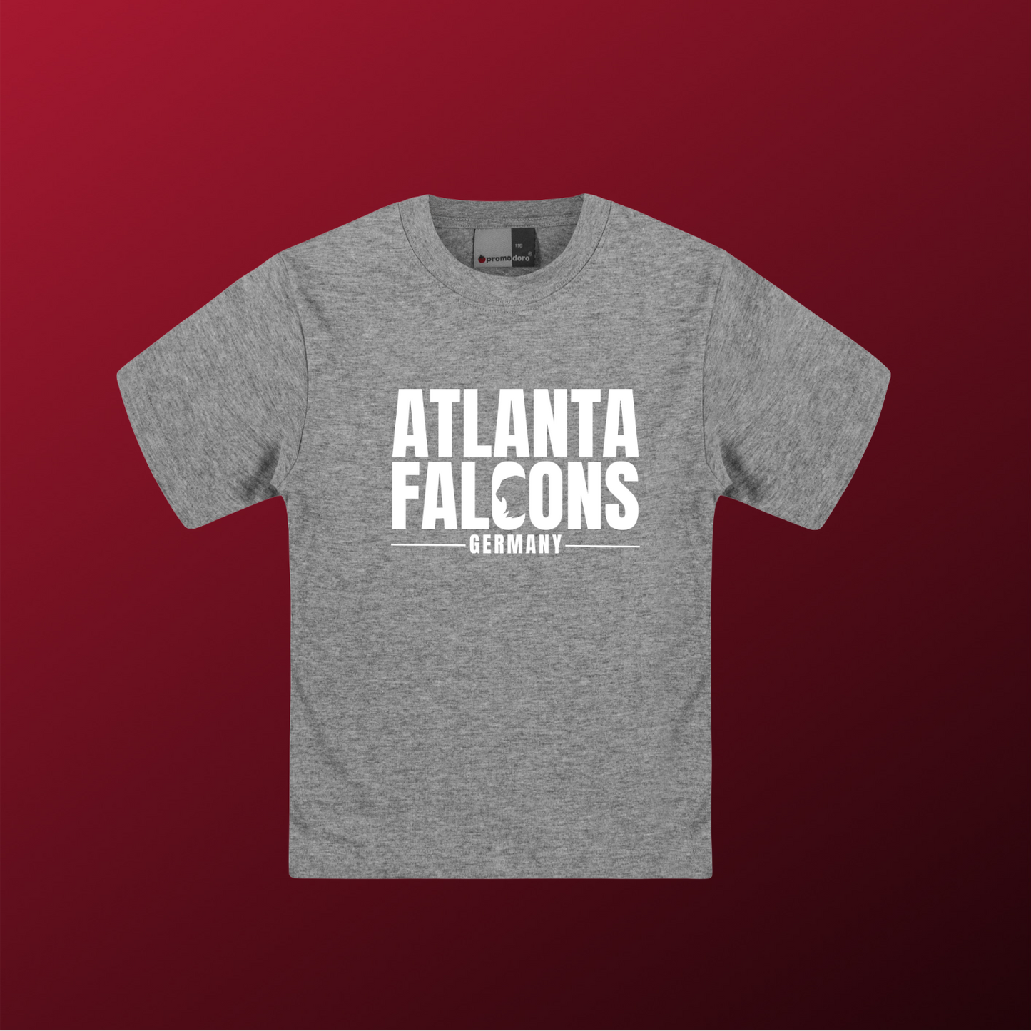 Falcons Germany "Ice Wordmark"