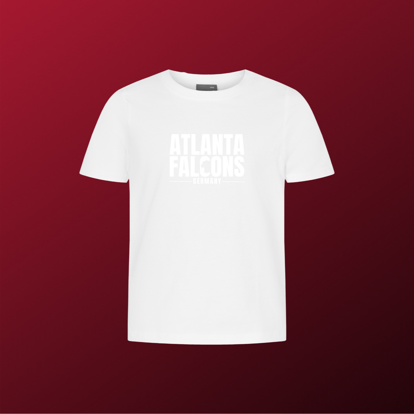 Falcons Germany "Ice Wordmark"