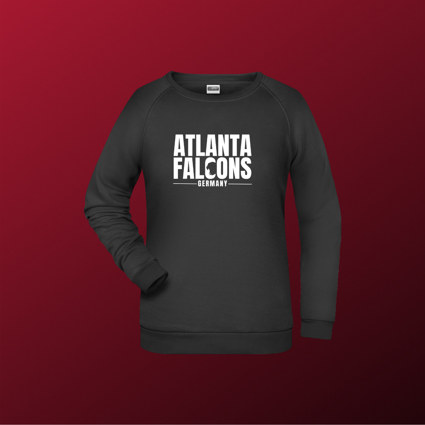 Falcons Germany "Ice Wordmark"