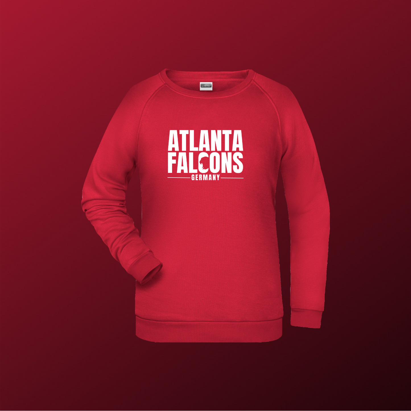 Falcons Germany "Ice Wordmark"