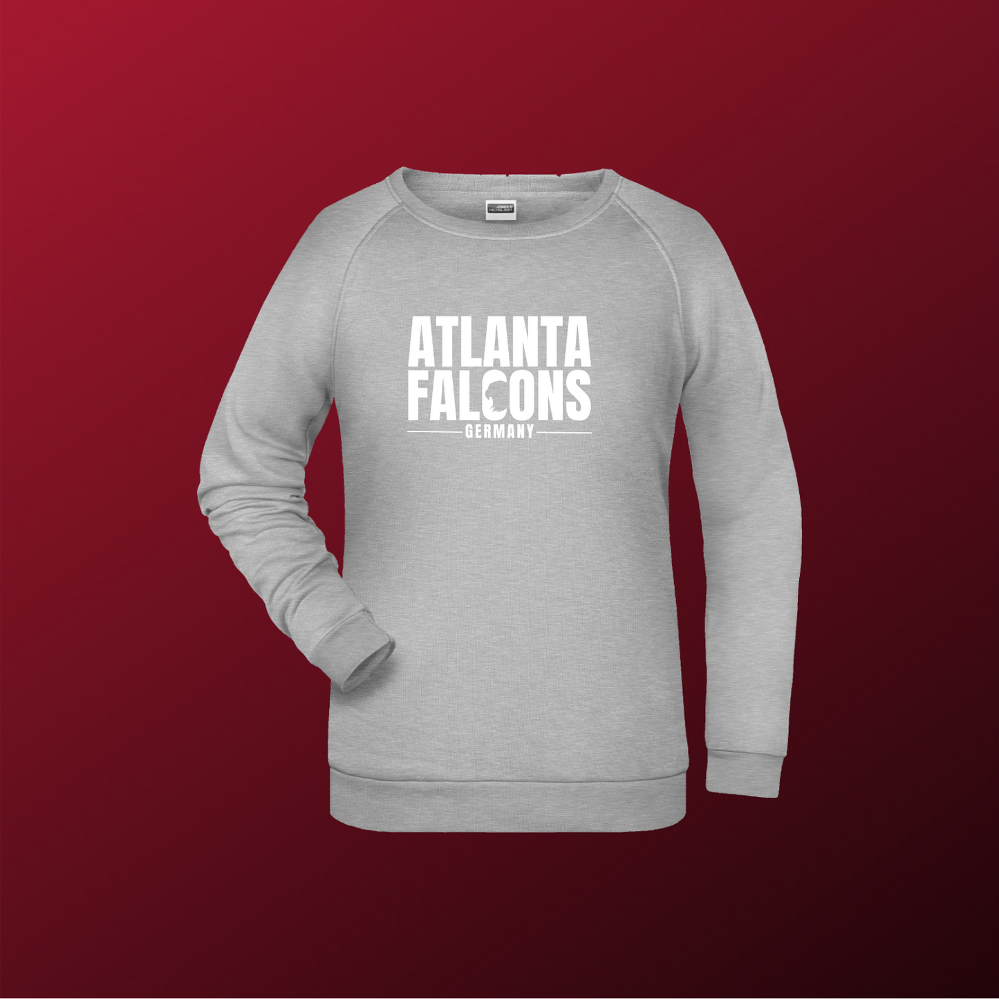 Falcons Germany "Ice Wordmark"