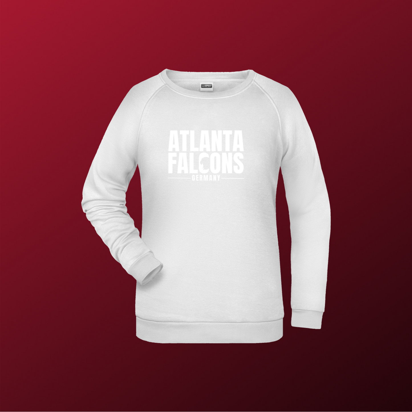 Falcons Germany "Ice Wordmark"