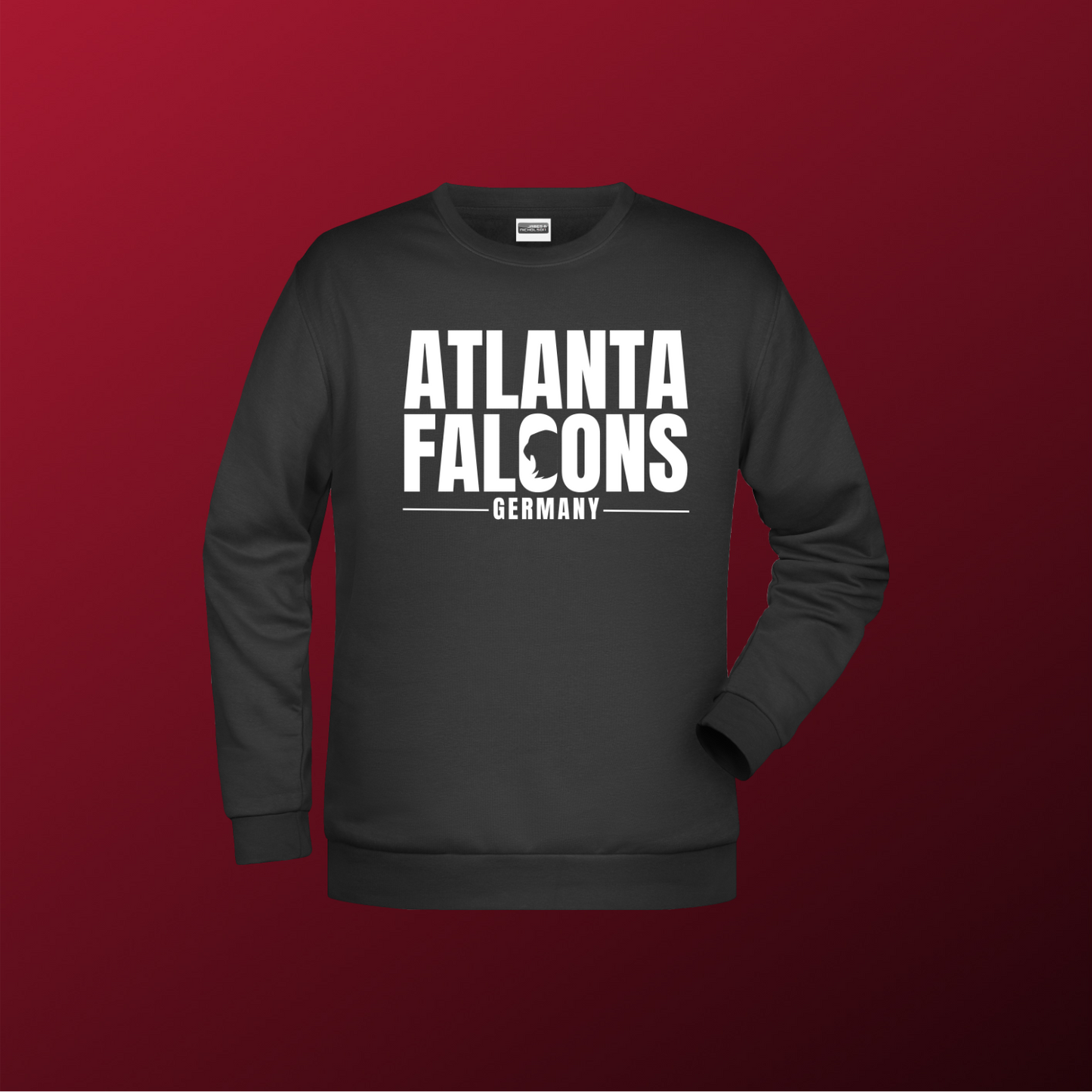 Falcons Germany "Ice Wordmark"