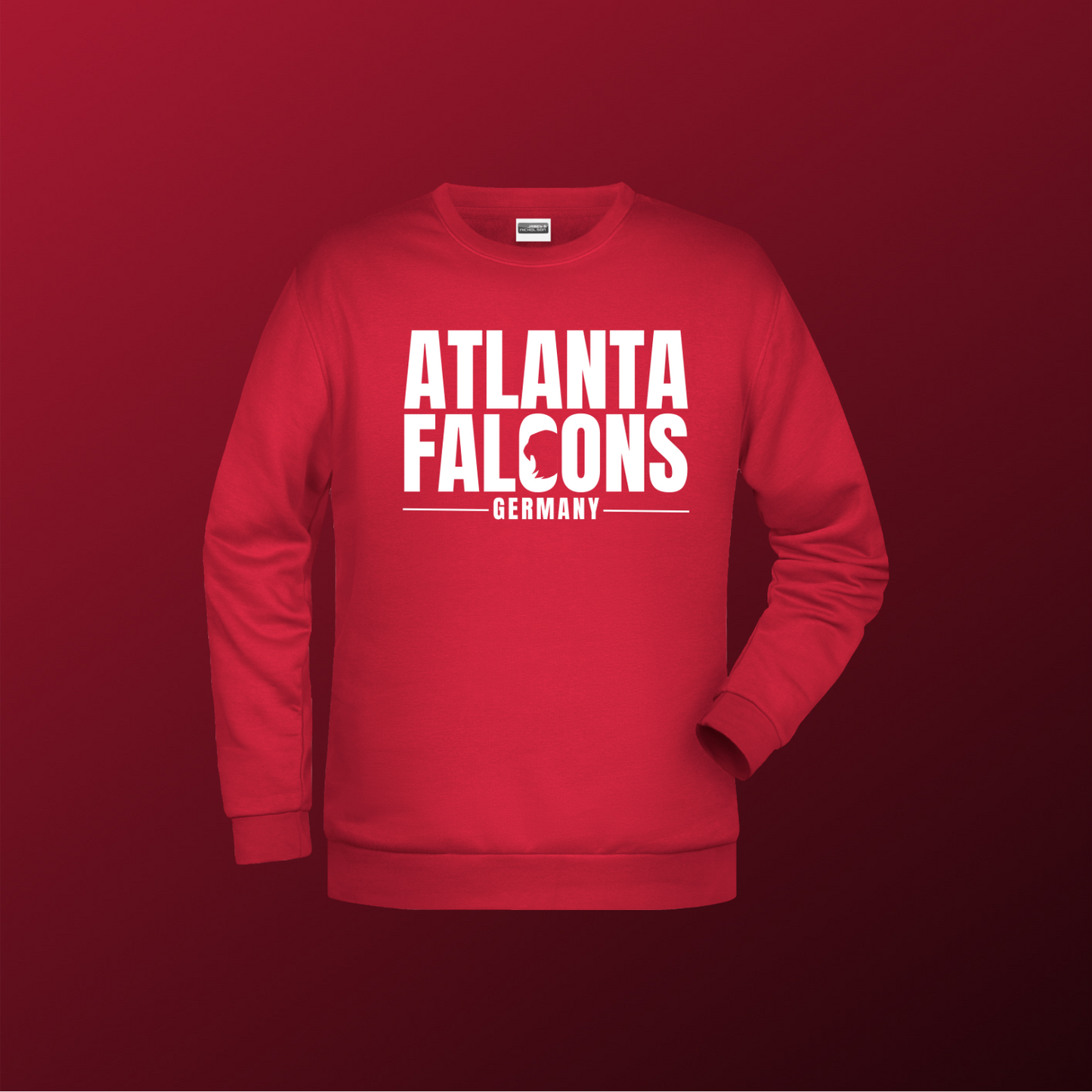 Falcons Germany "Ice Wordmark"