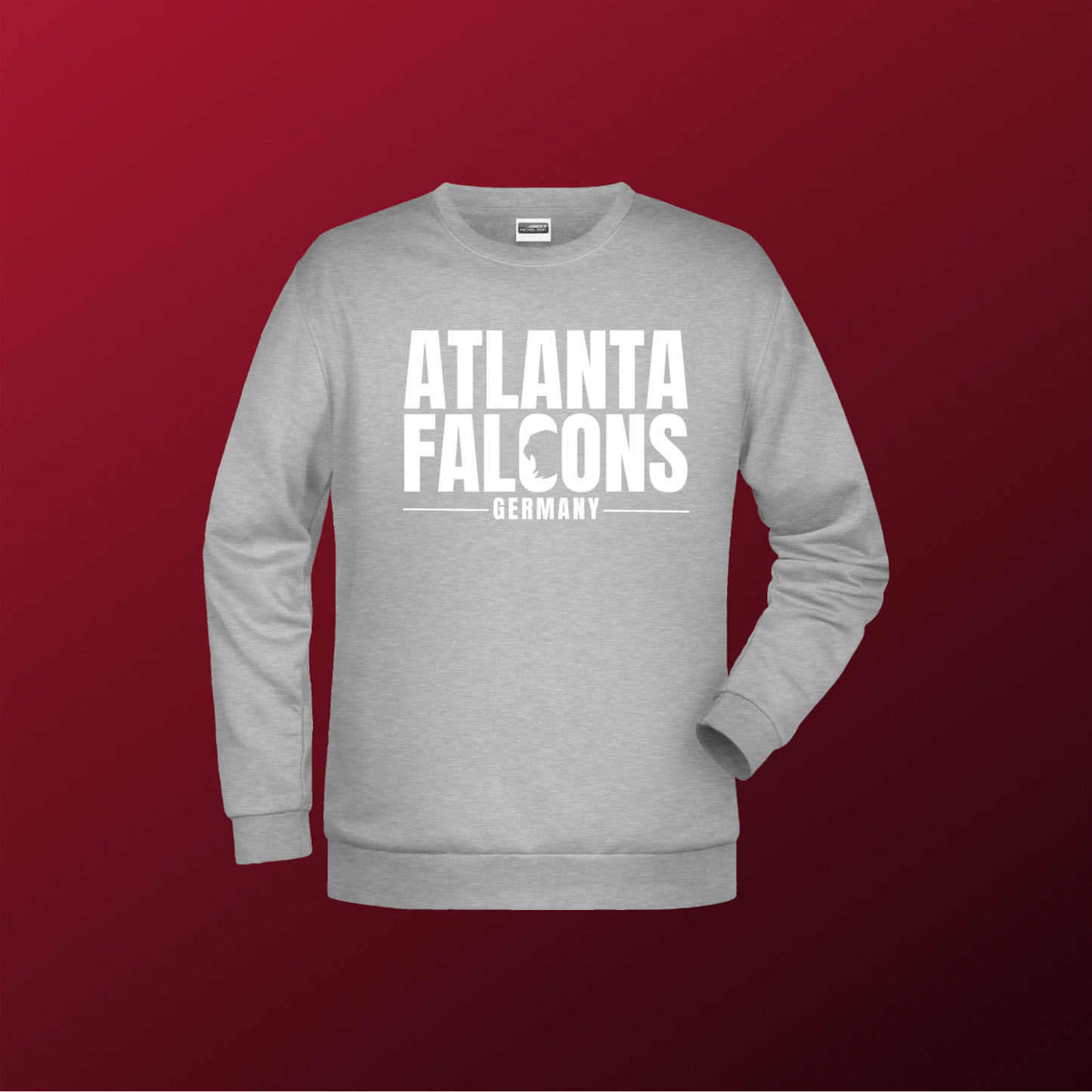 Falcons Germany "Ice Wordmark"