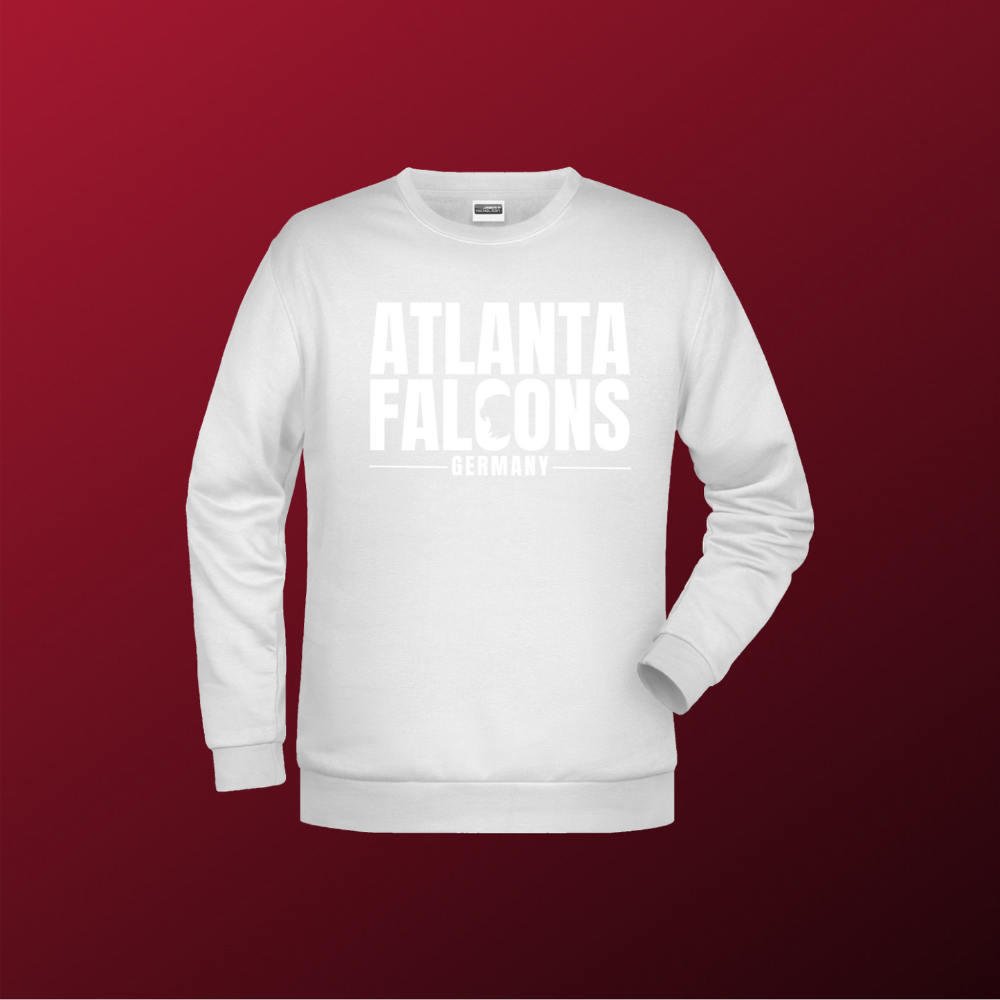 Falcons Germany "Ice Wordmark"