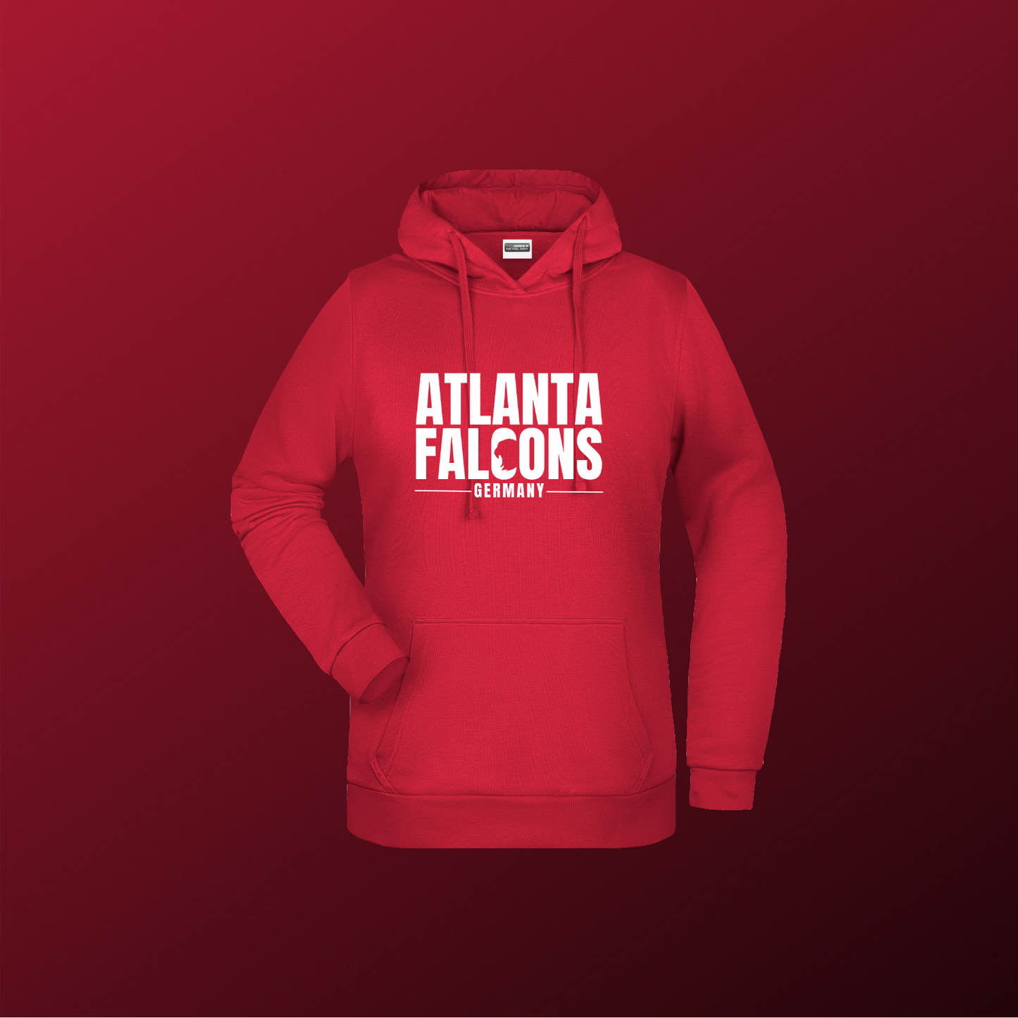 Falcons Germany "Ice Wordmark"