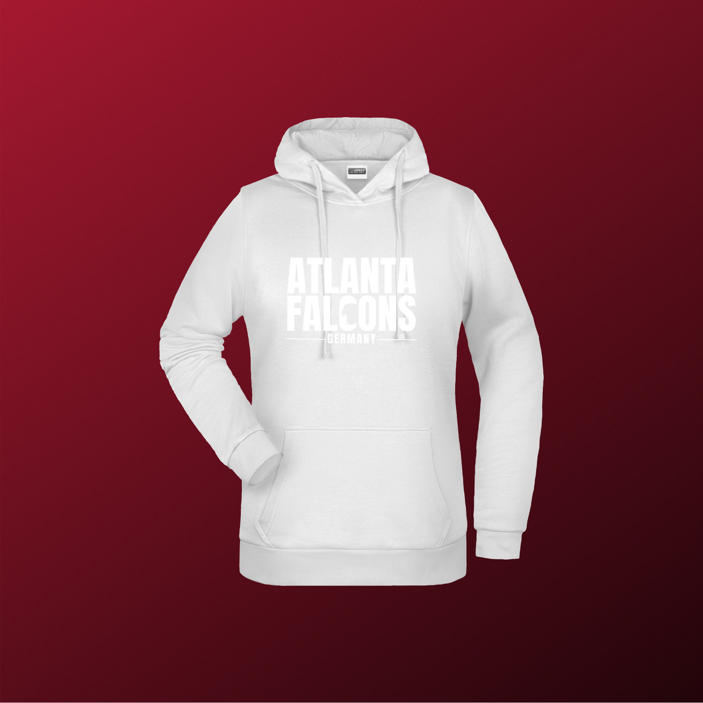 Falcons Germany "Ice Wordmark"