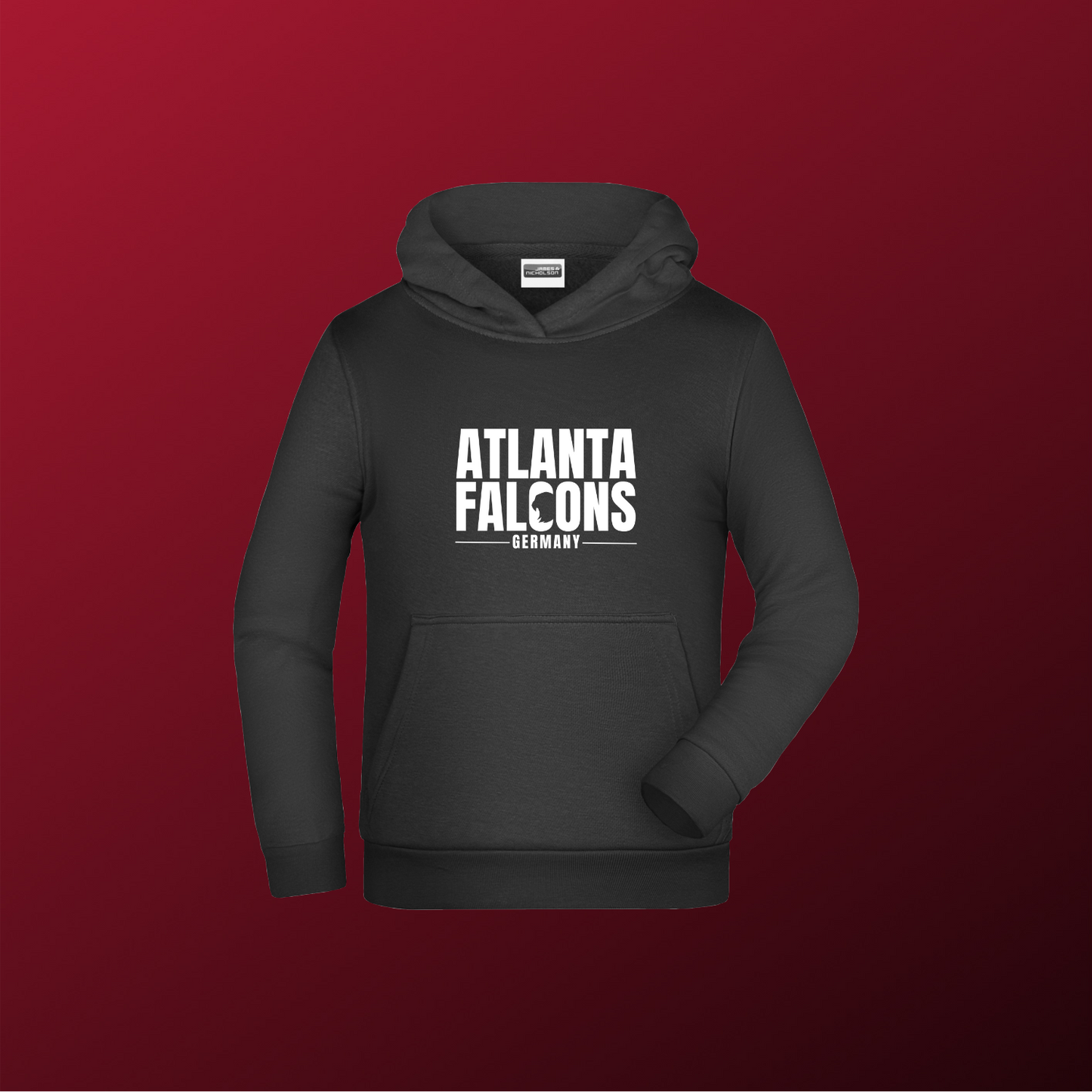 Falcons Germany "Ice Wordmark"