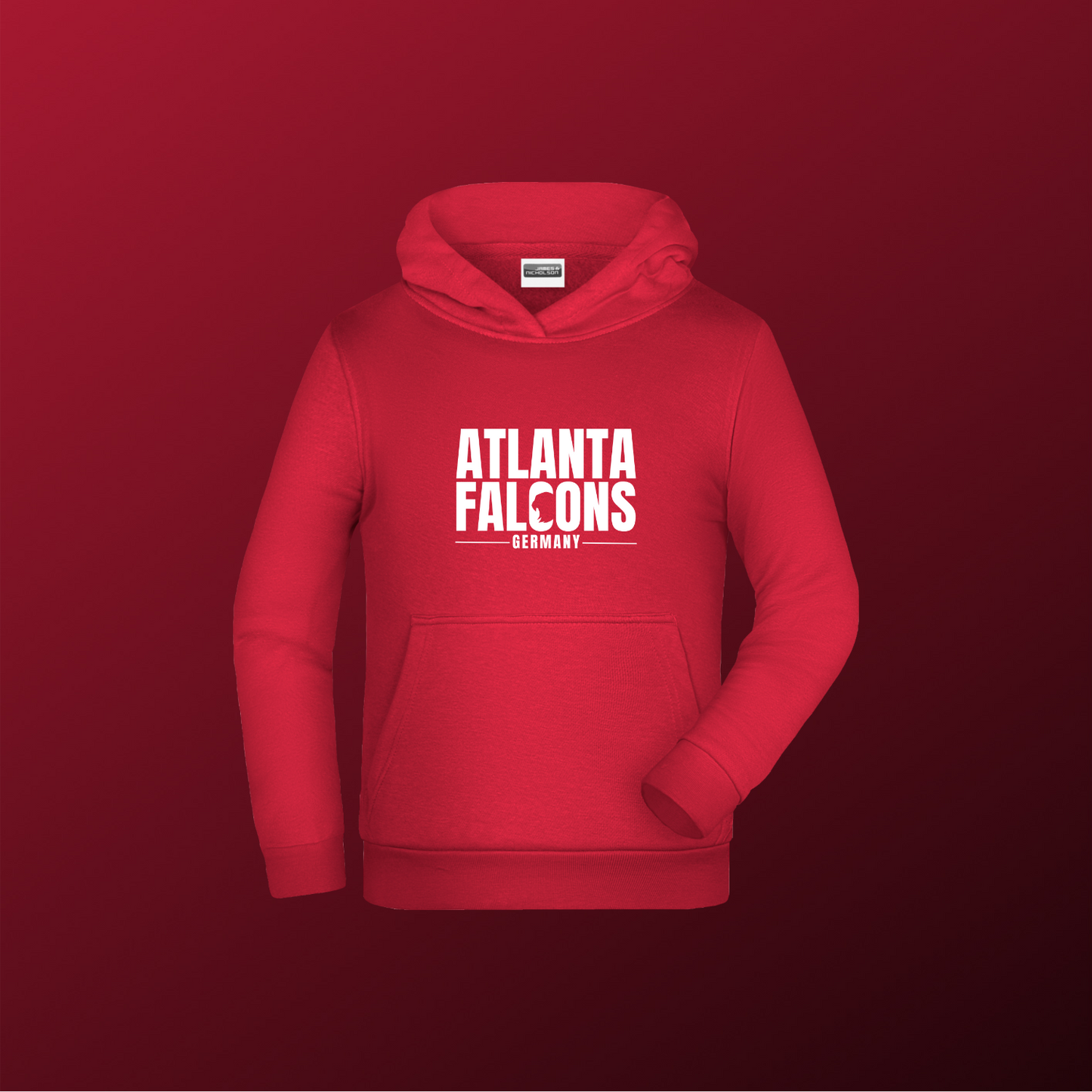 Falcons Germany "Ice Wordmark"