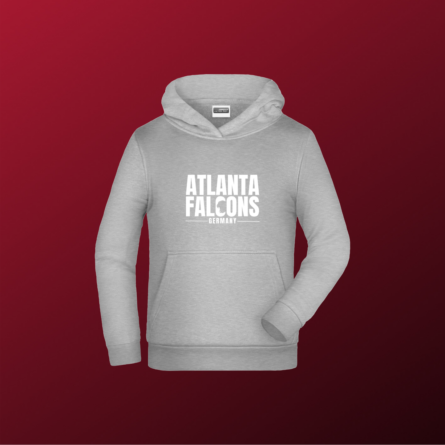 Falcons Germany "Ice Wordmark"