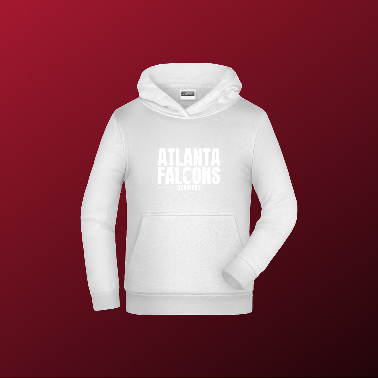 Falcons Germany "Ice Wordmark"